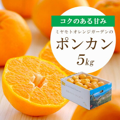 【ふるさと納税】【2025年1月以降発送】愛媛の新春柑橘 芳