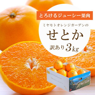 24位! 口コミ数「9件」評価「2.44」【2025年2月以降発送】とろける濃厚柑橘 せとか3kg 愛媛県八幡浜産【訳あり】【1128816】