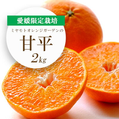 [2025年1月下旬以降発送]愛媛限定栽培柑橘 シャキッと新食感!甘平 2kg[C25-36]