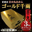 【ふるさと納税】日の丸みかん「ゴールド千兩」3kg サイズLまたはM/約25~35個/2箱/高糖度【F79-3】【1452025】
