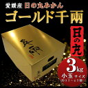 【ふるさと納税】日の丸みかん「ゴールド千兩」3kg サイズSまたは2S/約35〜45個/光センサー【D79-4】【1452026】