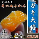 【ふるさと納税】自然の恵み!「ガキ大将」3kg(小玉サイズ)/日の丸みかん/ご家庭用/2箱セット【D79-17】【1452041】