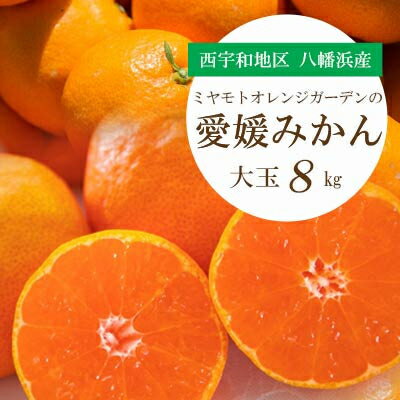 【ふるさと納税】ミヤモトオレンジガーデンの愛媛みかん(大玉)8kg【訳あり】【C25-142】【1166254】