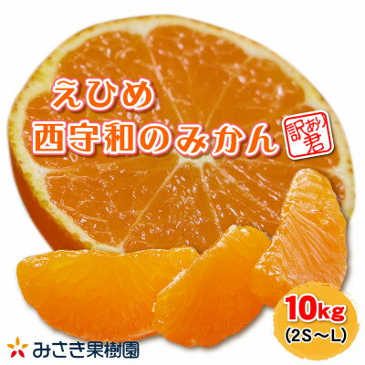 【ふるさと納税】【訳あり君】みさき果樹園のえひめ西宇和のみかん 10kg 2S~L混合【C21-17】【1455356】