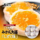 大福 【ふるさと納税】“本物産地の味” みかん大福「しずく珠(だま)」口いっぱいに広がる果汁!【C24-11】【配送不可地域：離島】【1045057】