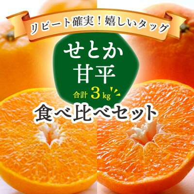 【ふるさと納税】愛媛の人気柑橘2品種をセットに せとか 甘平 食べ比べ 合計3kg【訳あり】_ みかん の 大トロ オレンジ フルーツ 旬 果物 柑橘 愛媛県 愛媛 人気 わけあり 【1358701】