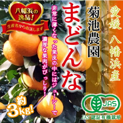 【ふるさと納税】2024年11月発送開始 【JAS認証有機栽培】プルプル食感!「まどんな」約3kg【C39-25】【1044609】のサムネイル