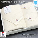 【ふるさと納税】【今治タオル】タオルセット TRUE ORGANIC【Hello!NEW タオル】