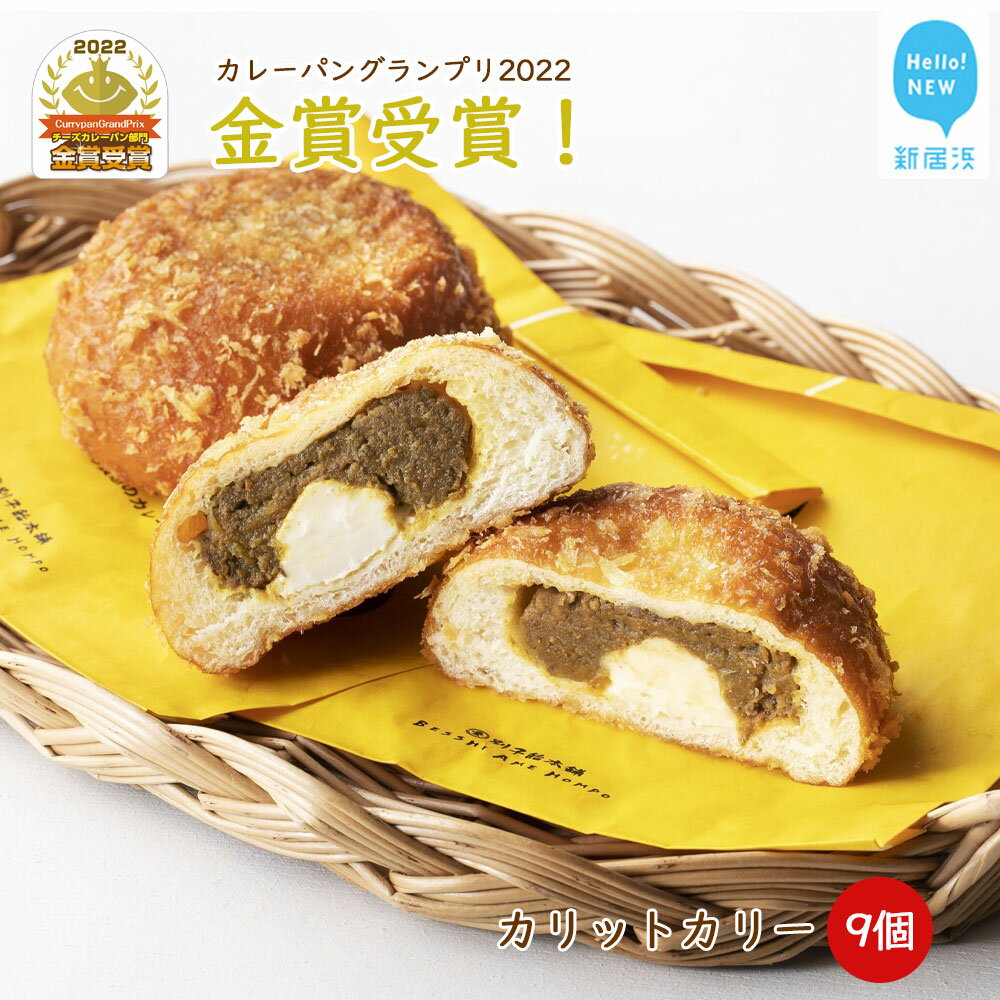 【ふるさと納税】カレーパン グランプリ金賞受賞 カリットカリー 9個（3種×3個) 詰合せ 冷凍 温めるだけ