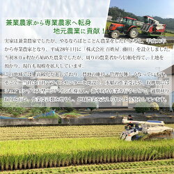 【ふるさと納税】 白米 新米 令和5年度産 ミルキークイーン 4kg（2kg×2袋） 愛媛・新居浜の個性派農家が作ったお米 画像2