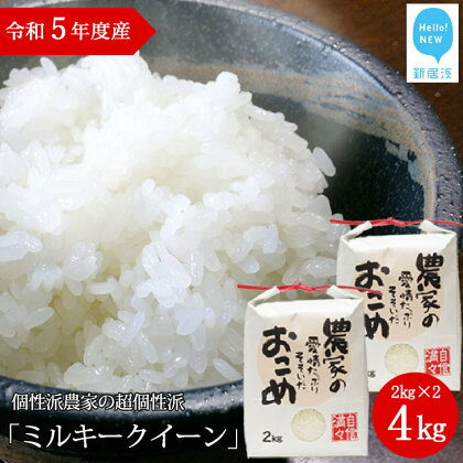 白米 令和5年度産 ミルキークイーン 4kg（2kg×2袋） 愛媛・新居浜の個性派農家が作ったお米