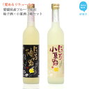 【ふるさと納税】「愛あるリキュール」500ml×2種セット にごり柚子酒・にごり小夏酒 愛媛県産フルーツ使用 【愛媛 近藤酒造】 ギフト・プレゼントに最適