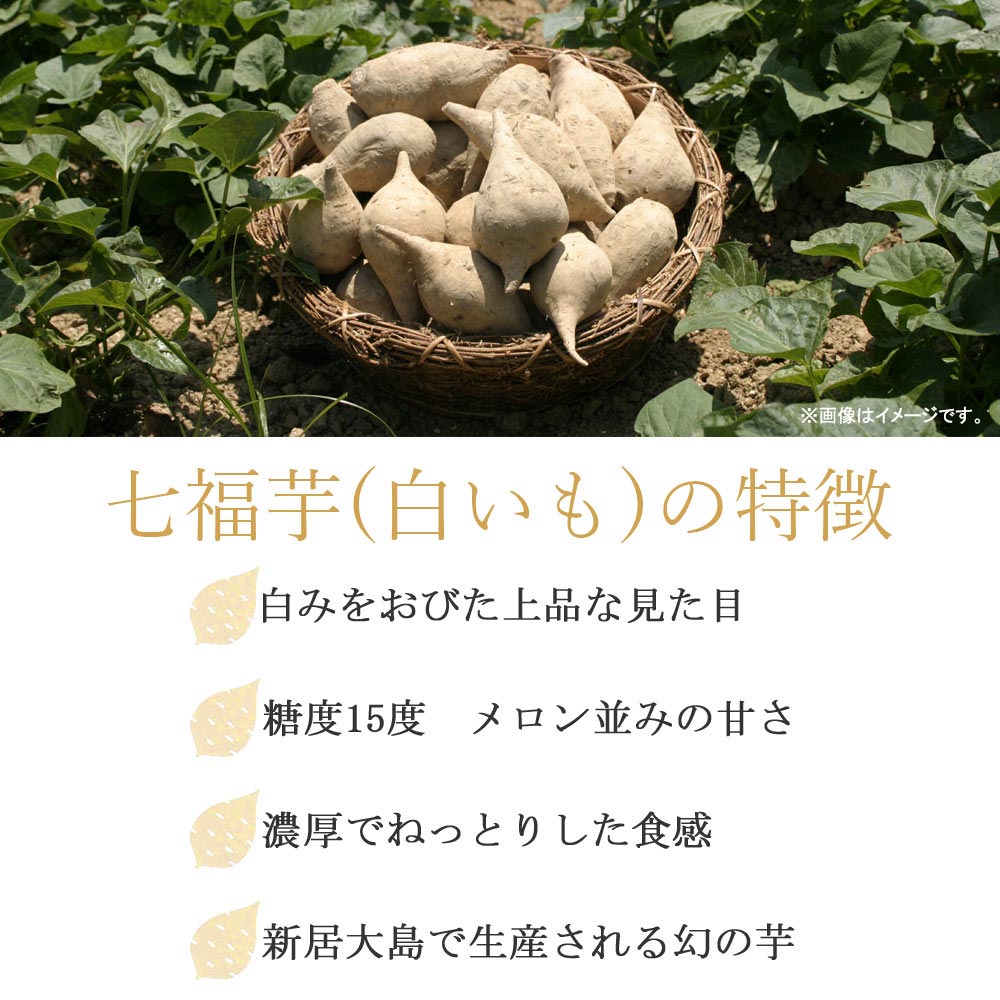 【ふるさと納税】【先行予約】 新居浜大島産 幻のさつまいも 『白いも』 5kg 七福芋 白芋
