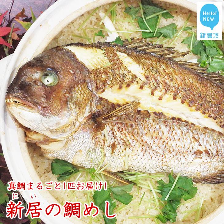 【ふるさと納税】鯛めし 4人前 瀬戸内海 天然 真鯛 新居浜市特産 新居のめぐみ米を使った「新居の鯛め...