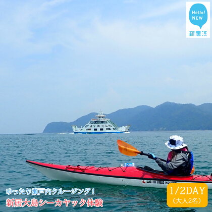 初心者歓迎 新居大島シーカヤック体験 1/2DAY(大人2名)