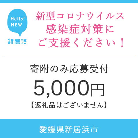 【ふるさと納税】新型コロナウイルスの感染症対策支援　5,000円【寄附のみの受付(返礼品なし)】