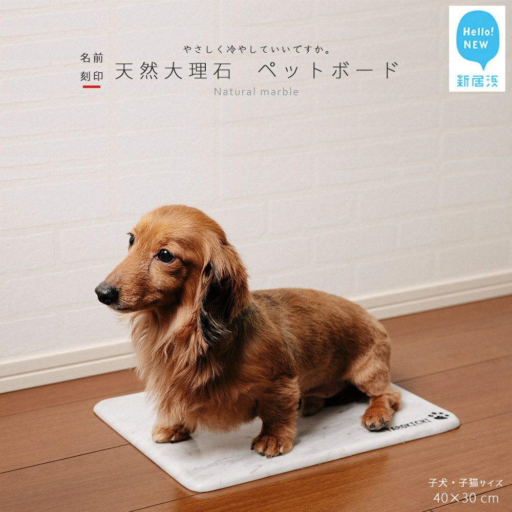 6位! 口コミ数「0件」評価「0」ひんやり 天然大理石 ペットボード 1枚（40x30cm) 子犬 ・ 子猫 サイズ 【 名入れ 彫刻あり】 ペット を愛する石職人 こだわり･･･ 