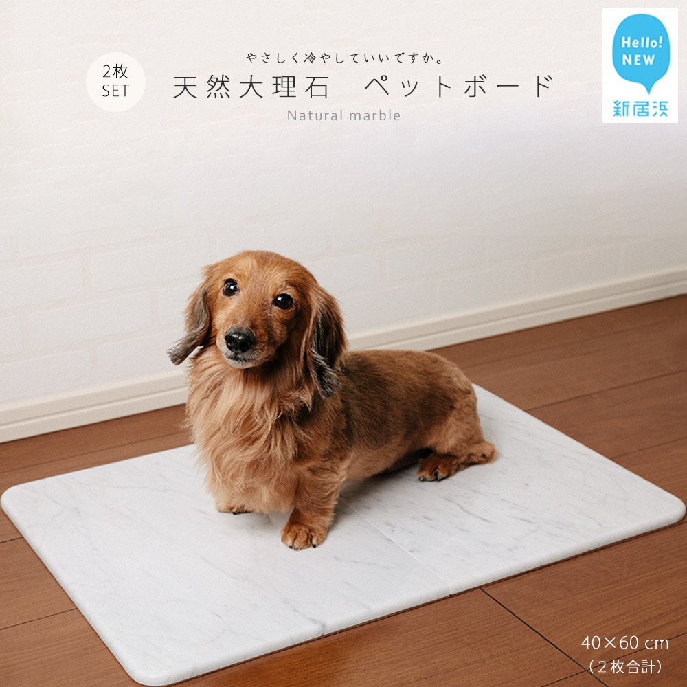 【ふるさと納税】ひんやり 天然大理石 ペットボード 2枚 セット(40x60cm)大型猫 ・ 小型犬 サイズ ペット を愛する石職人 こだわり の逸品 暑さ対策...