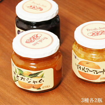 【ふるさと納税】愛媛県産ジャム(せとか・ブルーベリー・伊予柑)3種食べ比べセット(270g×6瓶) みきゃんの列車箱入り ギフトにも最適! 愛媛果汁食品