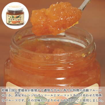 【ふるさと納税】愛媛県産ジャム(せとか・ブルーベリー・伊予柑)3種食べ比べセット(270g×6瓶) みきゃんの列車箱入り ギフトにも最適! 愛媛果汁食品