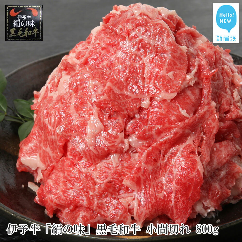 ڤդ뤵Ǽǡۡڿ̸ ͽ ָ̣ µ ڤ 800g400g2