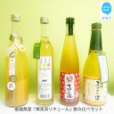 【ふるさと納税】 愛媛県産 果実系リキュール 飲み比べセット（720ml×2本・500ml×2本）【栄光酒造・梅錦山川・協和酒造・近藤酒造】