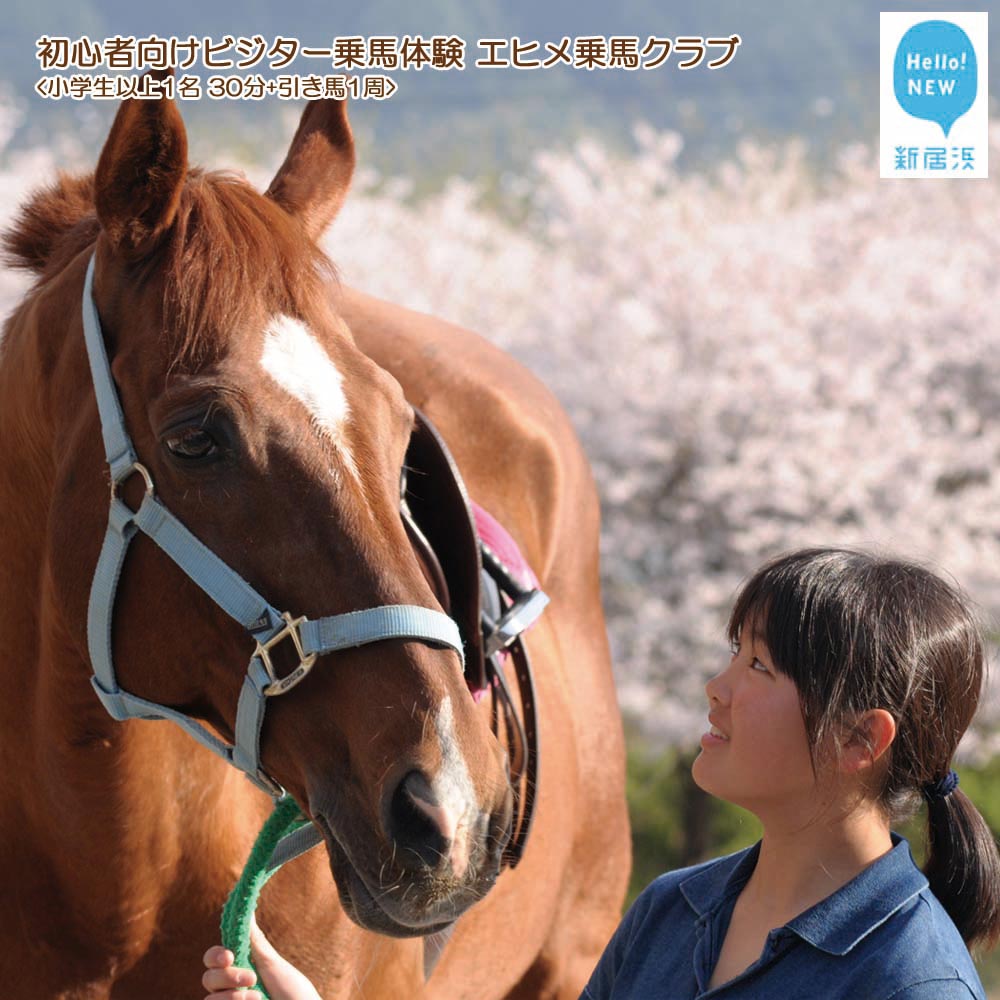 初心者向け ビジター乗馬体験 エヒメ乗馬クラブ(小学生以上1名 30分+引き馬1周)