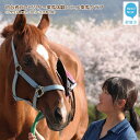 愛媛県新居浜市のエヒメ乗馬クラブを利用した、初心者向け乗馬体験です。 正会員として入会される必要はなく、気軽に乗馬体験ができます。引き馬1周も合わせてお楽しみただけます。 エヒメ乗馬クラブでは、会員様も現在、3才から85才までと年令制限もなく、その人その人に応じた指導をしております。 乗馬療法も取り入れており、スタッフも最上級の指導資格をもった者が丁寧にやさしく指導していますので安全にレッスンを受けていただくことができます。 ナイター設備もございます。 お仕事帰りにもお気軽にどうぞ。 美容と健康にもってこいのスポーツです。 ※「新型コロナウィルス感染症」拡大予防へ万全の取り組みを行っております。 □場所：エヒメ乗馬クラブ （JR予讃線　中萩駅徒歩5分／いよ西条ICより車で5分 □レッスン時間：約30分＋引き馬1周 □営業時間： ＜夏（6月から10月中旬）　天候気温により多少異なります。＞ 　平日　 9:00-11:00　16:00-21:00 　土日祝 9:00-20:00 ＜冬（上記以外）　天候により多少異なります。＞ 　平日　 9:00-12:00　14:00-20:00 　土日祝 9:00-19:00 ※定休日：毎週月曜日、祝日の場合は翌日。その他 　（金曜日はレッスンを行っておりません） □参加人数：小学生以上1名 ***費用には、指導・騎乗者傷害保険・貸し靴代を含みます。*** ※通常、決済から2週間前後に、1年間有効の体験チケットと詳細ご案内を発送いたします。（原則ご案内から1年間有効） ※キャンセルはできませんので、ご注意ください。（開催予定日3日前までの日程変更可） ※詳細ご案内から1年以内に、原則電話でのご予約をお願いいたします。 ※写真はイメージです。 ※こちらはギフト対応できない返礼品となります。 ※こちらの謝礼品は、配送時間の指定はお受けできませんので、ご了承ください。 ※利用券の転売は固く禁じます。転売が発見された場合、その利用券は無効となります。 ご予約と開催日に関する注意事項 ●体験チケット到着後、ご予約はご利用日の前日までにお願いします。 ●申込時にふるさと納税特典であることを必ずお伝えください。 ●ご予約後の日程変更は、ご利用日の3日前までに必ずご連絡をお願いします。 ●天候による日程変更などは、エヒメ乗馬クラブと直接連絡により調整してください。 ●当日現地清算いただくことにより追加参加も可能です。ご希望の方は、レッスン日連絡の際に直接エヒメ乗馬クラブにご相談ください。 【キャンセルに関する料金について】 ***当日お客様理由による無連絡キャンセルの場合、後日日程変更による対応をしかねる場合はございますので、ご注意ください。*** 練習について 1.乗馬時間は約30分ですが、調教上レッスン上または騎乗者・馬の体調など疲労状態に合わせて時間調整することがあります。 2.練習は原則指導者の指揮の下に行います。指導者が認めた場合には、各個に騎乗することができます。（ただし、障害飛越、調教は認めません。） 3.練習中の事故においては、応急の処置はとりますが、その責任は負いません。 提供可能期間12/30〜1/2・大会開催日を除く通年利用可能 ※ご希望日が満員の場合はお日にちの変更をお願いいたします。 有効期限発行から1年間 提供者エヒメ乗馬クラブ　松本 亮一郎 新居浜市大生院762-12 TEL(0897)41-1101／FAX40-2009 ・ふるさと納税よくある質問はこちら ・寄附申込みのキャンセル、返礼品の変更・返品はできません。あらかじめご了承ください。初心者向け　ビジター乗馬体験　エヒメ乗馬クラブ（小学生以上1名 30分+引き馬1周）