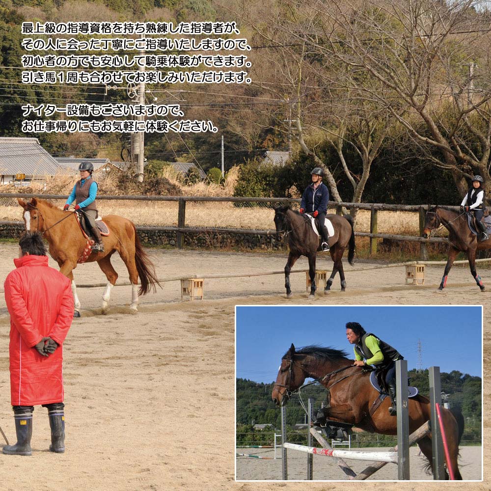 【ふるさと納税】 初心者向け　ビジター乗馬体験　エヒメ乗馬クラブ（小学生以上1名 30分+引き馬1周）