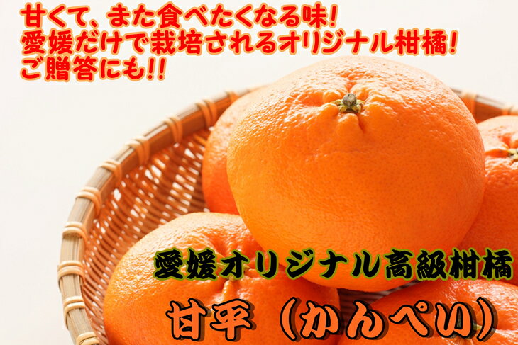 【ふるさと納税】美味！！愛媛県だけのオリジナル高級柑橘「甘平」