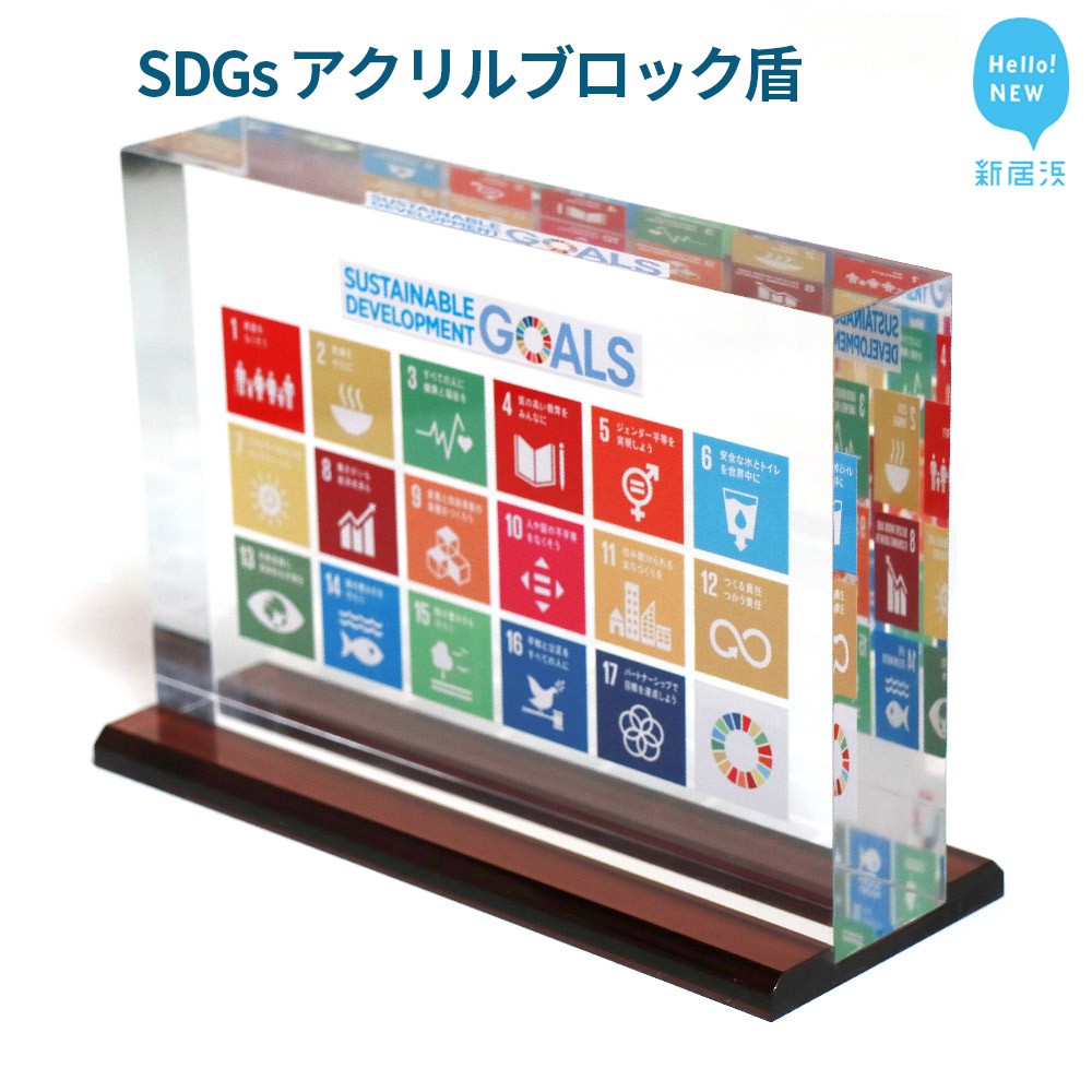 18位! 口コミ数「0件」評価「0」 SDGs インテリア アクリル ブロック 盾 （厚さ40×幅210×高さ142mm） 高級 専用台