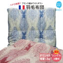 【ふるさと納税】 ペアでお届け 羽毛布団 ペア シングル (G-07)2枚 セット フランス産ホワイトダウン93% ツインキルト2層式 抗菌 防臭