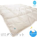 【ふるさと納税】羽毛肌布団 ダウンケット セミダブルサイズ(S-02) ホワイトダウン85% 抗菌・防臭(3)