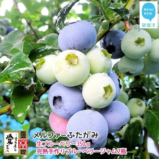 【ふるさと納税】【先行予約】【期間限定】 旬にお届け 完熟生ブルーベリー 350g 完熟手作りブルーベリージャム 2瓶 セット メルファーふたがみ エコえひめ認証 【寄附受付:8月10日まで】 【ふるさと納税】【先行予約】【期間限定】 旬にお届け 完熟生ブルーベリー 350g 完熟手作りブルーベリージャム 2瓶 セット メルファーふたがみ エコえひめ認証 【寄附受付:8月10日まで】