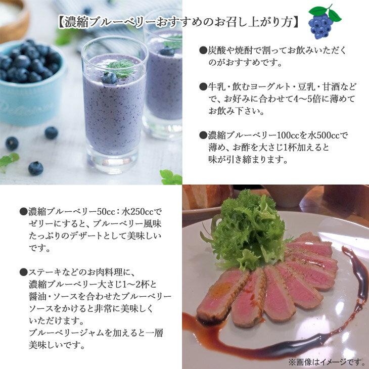 【ふるさと納税】 果汁 濃縮 ブルーベリー100％ 180ml 6本 セット エコえひめ認証栽培 国産 メルファ—ふたがみ