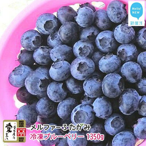 【ふるさと納税】【先行予約】 完熟ブルーベリー1350g(冷凍) 毎年人気の冷凍ブルーベリーです メルファーふたがみ 【ふるさと納税】【先行予約】 完熟ブルーベリー1350g(冷凍) 毎年人気の冷凍ブルーベリーです メルファーふたがみ