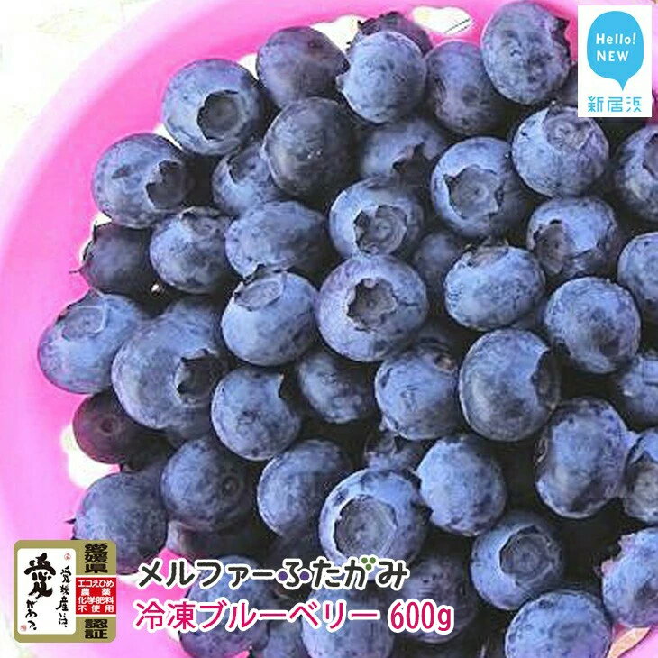 [先行予約] 完熟ブルーベリー600g(冷凍)毎年人気の冷凍ブルーベリーです メルファーふたがみ