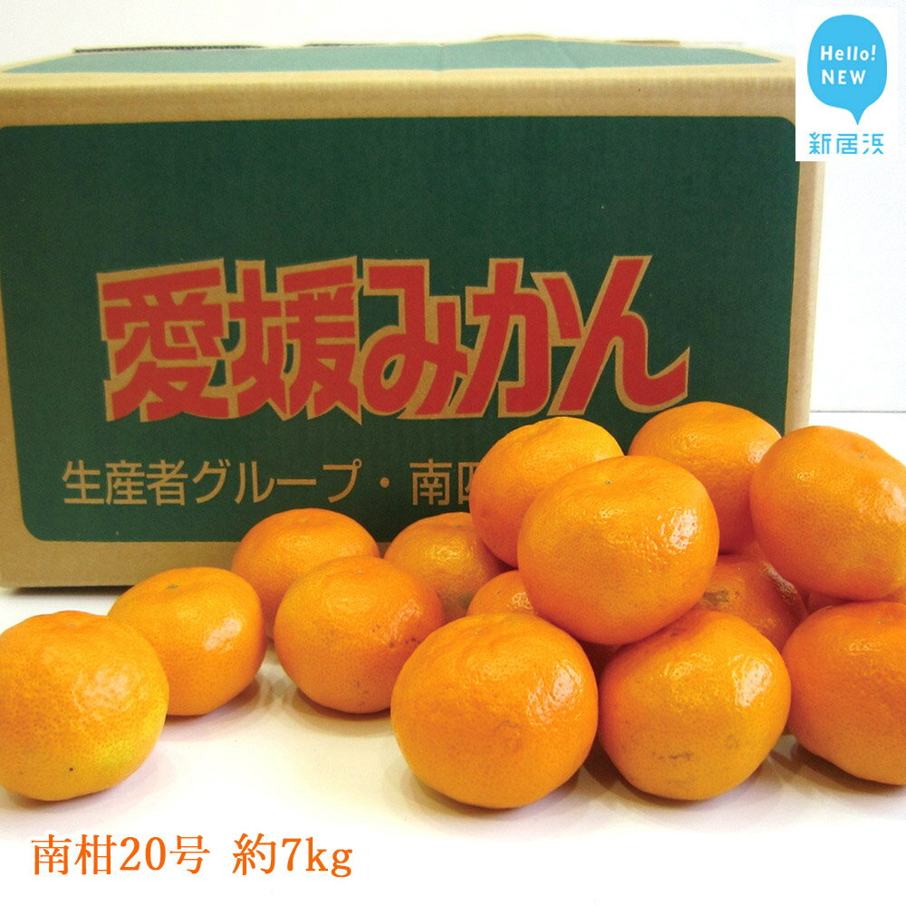 1位! 口コミ数「9件」評価「3.33」南柑20号（温州みかん） 約7kg（宇和島産） 【期間限定：11月30日まで】【発送期間限定：12月】