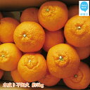 【ふるさと納税】木成り不知火 約5kg (宇和島産)【期間限定:2月28日まで】【発送期間限定:2月末〜3月末】