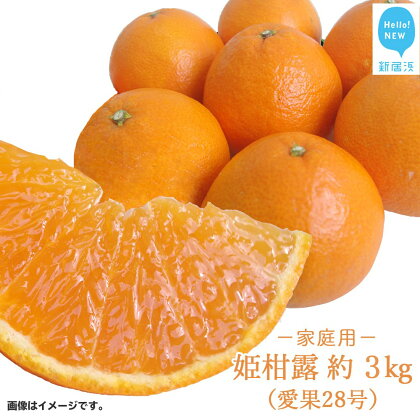 姫柑露 （愛果28号）ひめかんろ 約3kg 家庭用（宇和島産） 【期間限定：11月30日まで】【発送期間限定：11月下旬～12月】