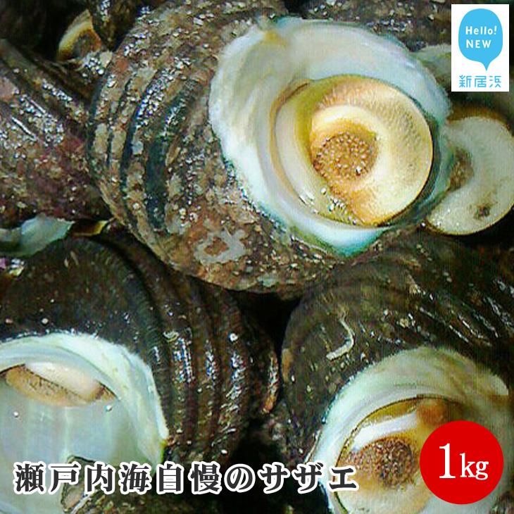 【ふるさと納税】絶品！！瀬戸内海自慢のサザエ1kg