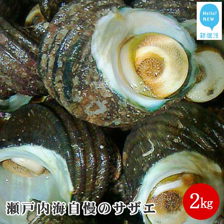 【ふるさと納税】絶品！！瀬戸内海自慢のサザエ2kg