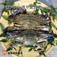 瀬戸内の渡り蟹2匹500〜600g