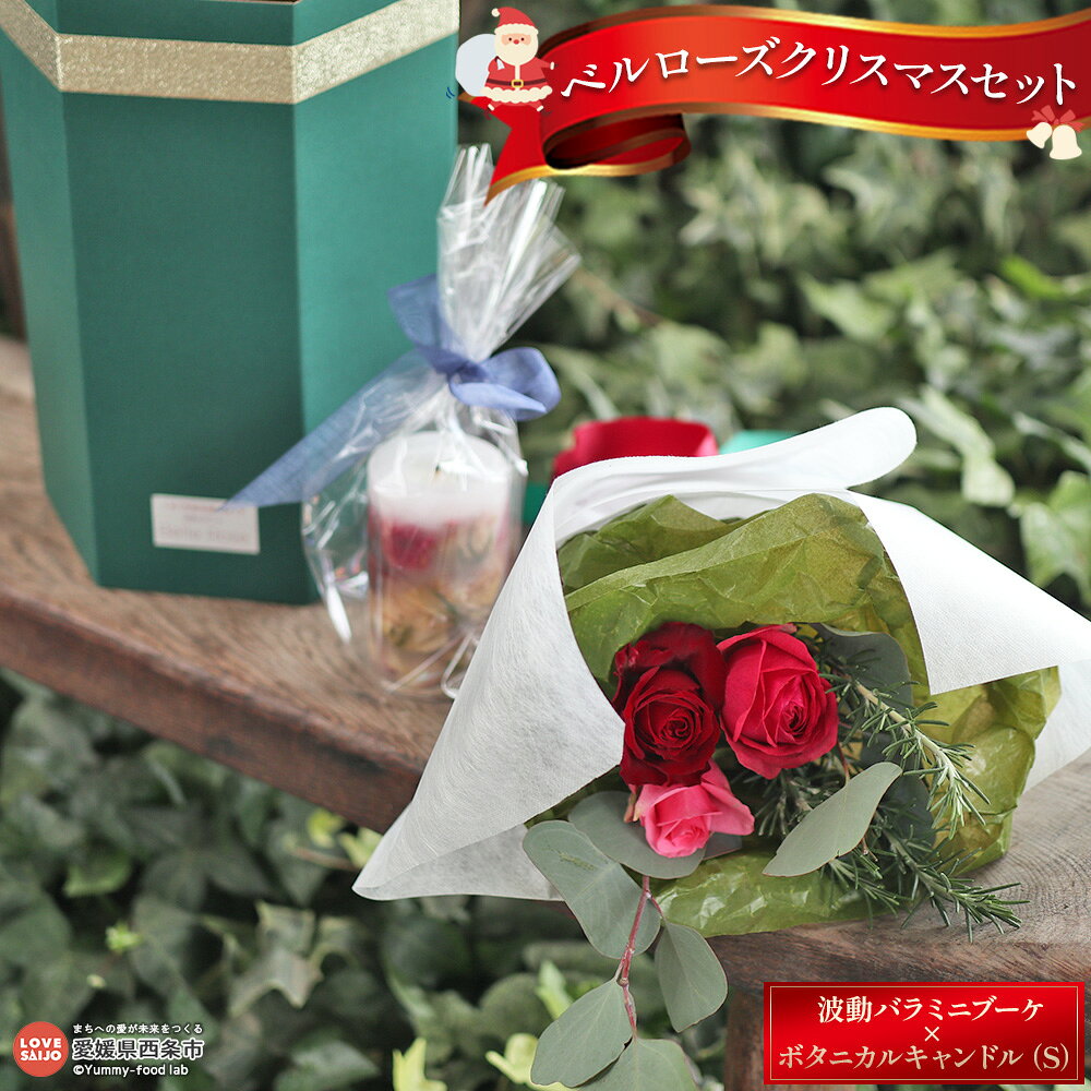 ※2025年予約終了※【ふるさと納税】＜ベルローズクリスマスセット 波動バラミニブーケ×ボタニカルキャンドル(Sサイズ)＞※2025年12月1日(月)〜12月24日(水)までに順次出荷します 波動薔薇 バラ ばら 生花 お花 植物 お礼 ギフト 贈り物 プレゼント 愛媛県 西条市【冷蔵】