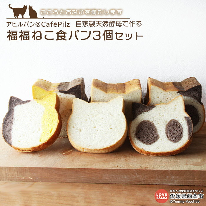 【ふるさと納税】アヒルパン@CafePilz <自家製天然酵母で作る 福福ねこ食パン3個セット> ※入金確認後、2か月以内に順次出荷します。 プレーン ココア かぼちゃ カボチャ 南瓜 しょくぱん 猫 ネコ 朝ごはん 朝食 食べ比べ 特産品 カフェピルツ 愛媛県 西条市【冷凍】
