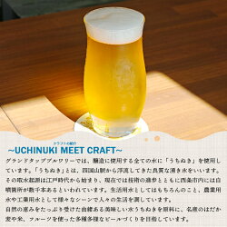 【ふるさと納税】＜オリジナルクラフトビール 6缶セット GROUNDTAP BREWERY＞※翌月末迄に順次出荷します。370ml 缶 ご当地ビール 地ビール おしゃれ お酒 BBQ キャンプ 宅飲み 晩酌 愛媛県 西条市【冷蔵】･･･ 画像1