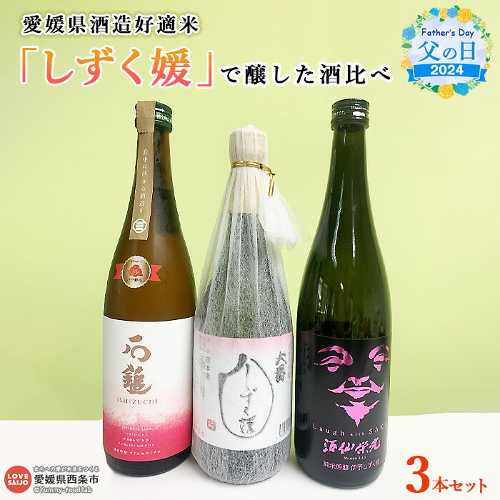 【ふるさと納税】【父の日】＜愛媛県酒造好適米「しずく媛」で醸した酒比べ＞ ※2024年6月14日(金)～6月16日(日)迄にお届け お酒 日本酒 純米吟醸 ギフト 贈り物 プレゼント 感謝 愛媛県酒造協同組合 愛媛県 西条市 【常温】