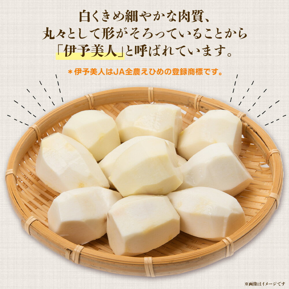 �ڤդ뤵��Ǽ�ǡۡ�Τ�� ��ͽ���� ���� ��4kg L��2L�������䢨2025ǯ10����ܡ�2026ǯ3�������˽缡�в� ���Ȥ��� ���ȥ��� Τ���� ��� �䤵�� �� ��ɲ���� �ե���������ա��� ��ɲ�� ����ԡھﲹ��