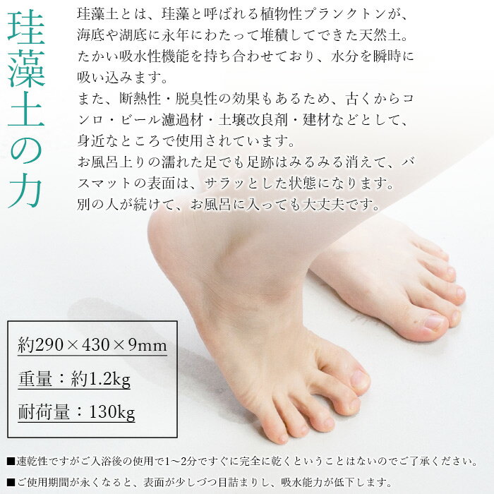 【ふるさと納税】＜NEW 足乾バスマット ミニサイズ＞ ※翌月末迄に順次出荷します。 珪藻土 マット 速乾 シンプル お風呂 バスタイム 足拭きマット 浴室マット 風呂マット バス用品 フジワラ化学株式会社 愛媛県 西条市【常温】