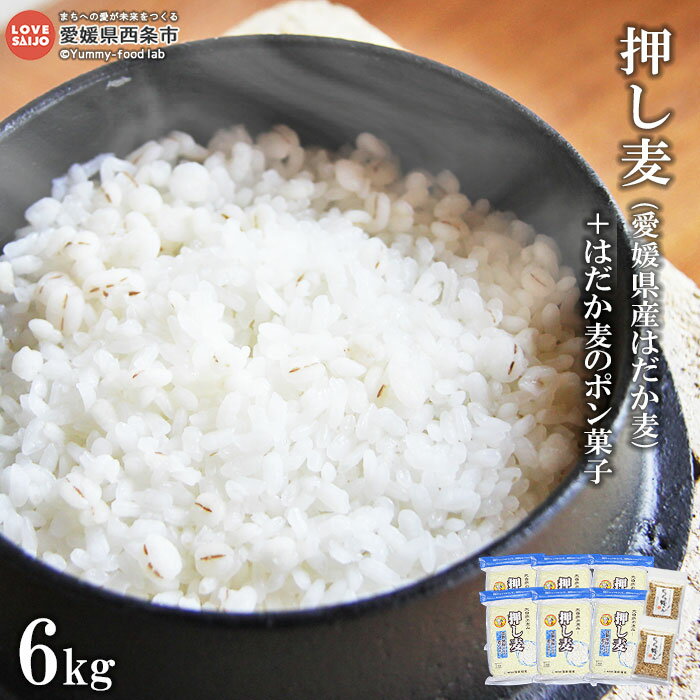 19位! 口コミ数「1件」評価「5」＜押し麦(愛媛県産はだか麦)6kg+はだか麦のポン菓子＞ ※翌月末迄に順次出荷 1kg×6袋 押麦 大麦 雑穀 米 麦菓子 藤田精麦 愛媛県･･･ 